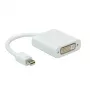 ROLINE mini DisplayPort-DVI-adapter, mini DP ST - DVI BU (12.03.3128)