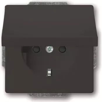 Busch-Jaeger SCHUKO stopcontactinzet antraciet 20 EUKB-81 (2CKA002018A1517)