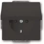 Busch-Jaeger SCHUKO stopcontactinzet antraciet 20 EUKB-81 (2CKA002018A1517)