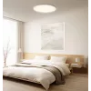 Slimme Xiaomi plafondlamp D30 WiFi 30W