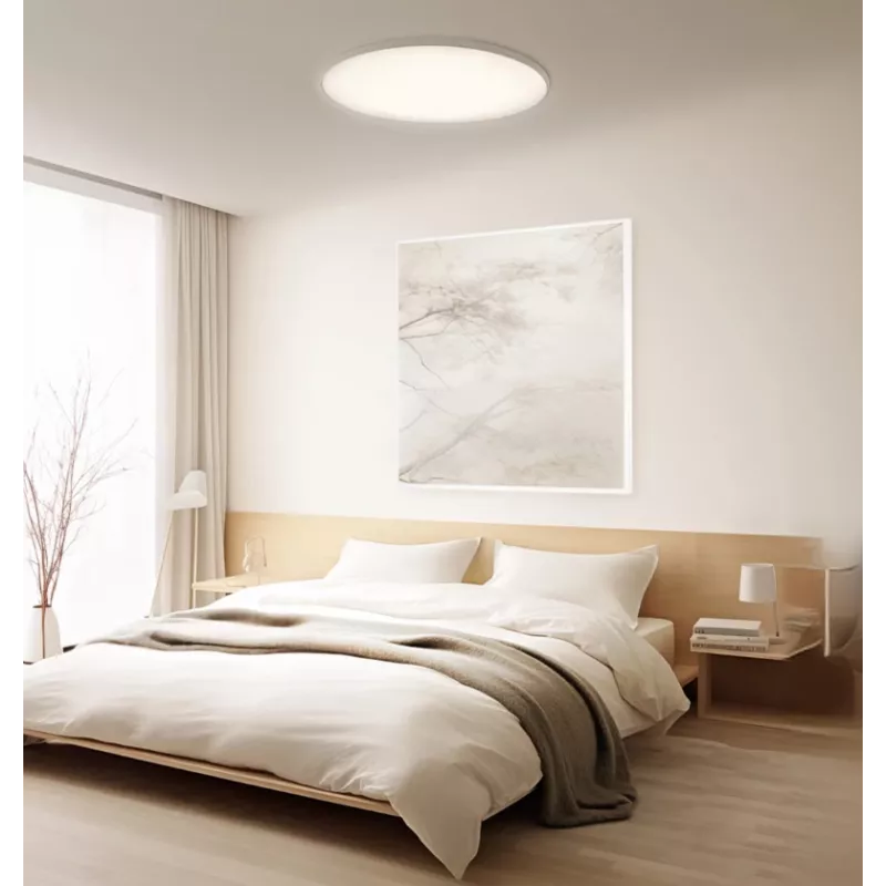 Slimme Xiaomi plafondlamp D30 WiFi 30W