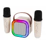 Karaokeluidspreker, KARAOKE RGB bluetooth-luidspreker, 30W