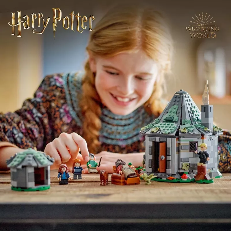 LEGO HARRY POTTER 76428 Hagrids hut – Een onverwacht bezoek