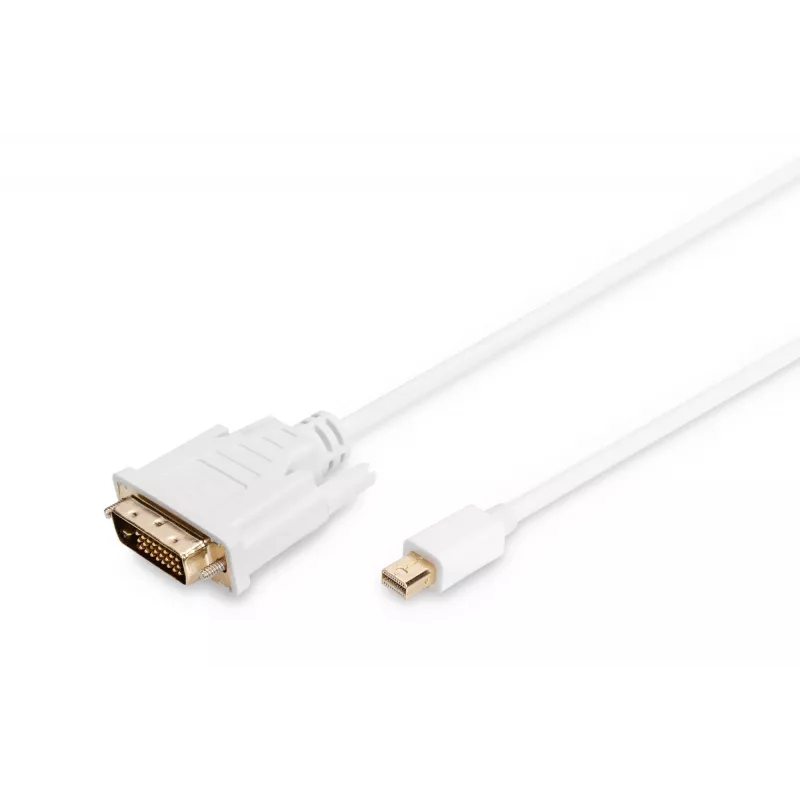 Kabel DisplayPort 1.1a Mini DP-DVI type A MM 2,0 m