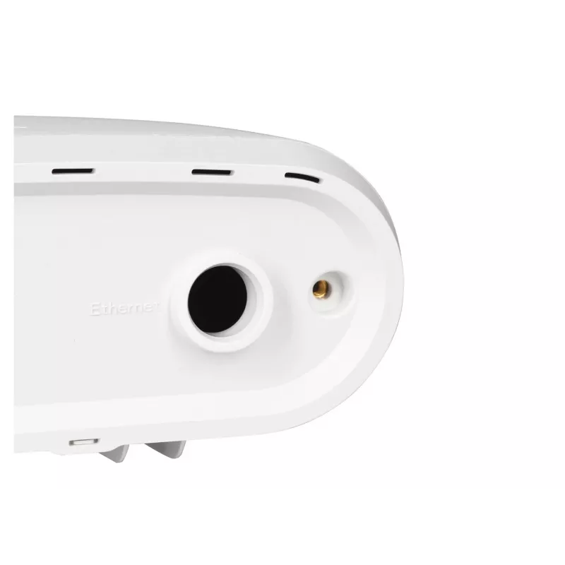Zyxel ACCESSORY-ZZ0102F WLAN access point accessoire afdekdop