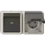 GIRA 417730 combinatie schakelaar/stopcontact horizontaal K (417730)