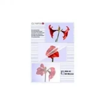 1x25 Olympia lamineerfolie DIN A3 80 micron 9180