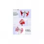 1x25 Olympia lamineerfolie DIN A3 80 micron 9180