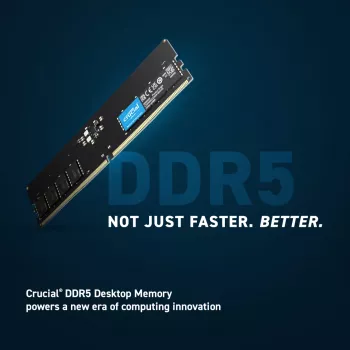 Crucial Pro - DDR5 - module - 16 GB - DIMM 288-PIN low profile
