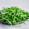 PNOS rucola Eruca sativa zaden op band, 6 m
