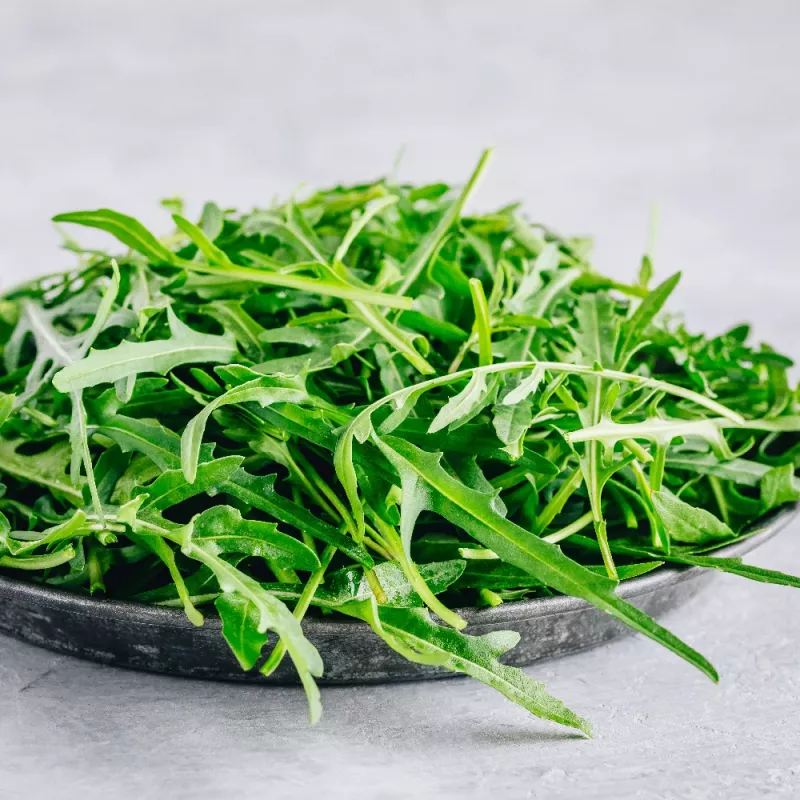 PNOS rucola Eruca sativa zaden op band, 6 m