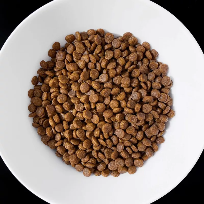 VET RESPONSE Gastrointestinal - droogvoer voor katten - 1,6 kg