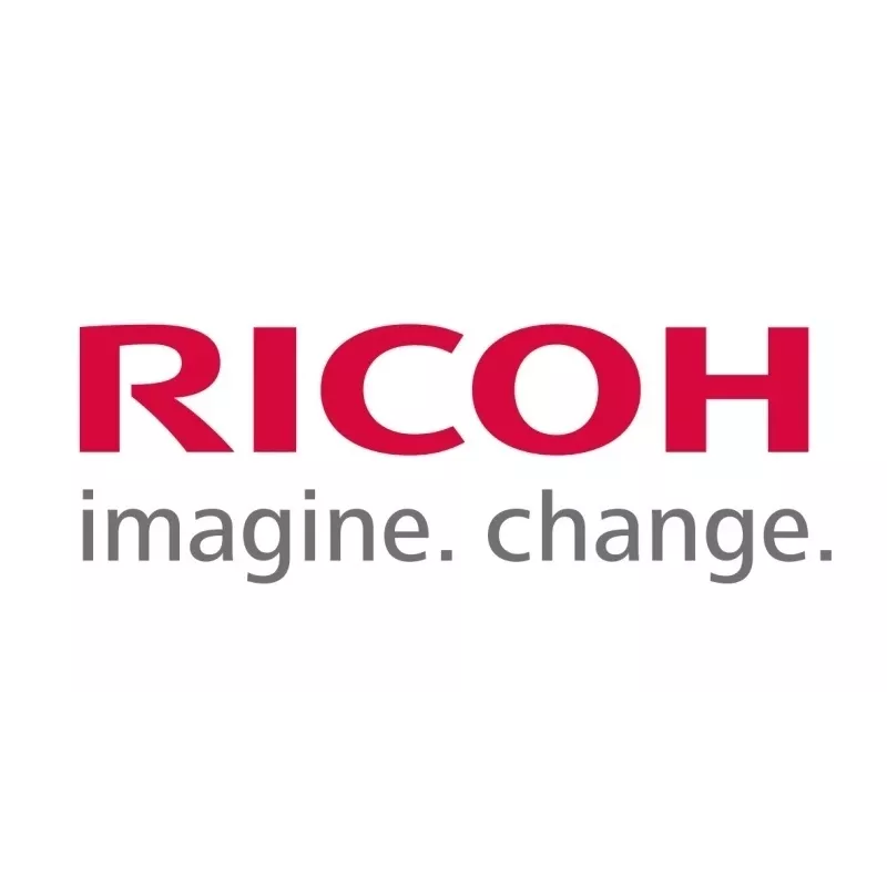Ricoh M0B13085 (M0B1-3085) FILTER:ONTWIKKELING