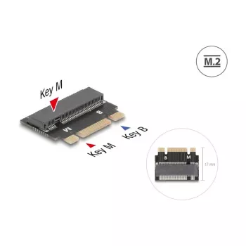 DeLOCK 64342 interne M.2-adapter hostinterface M.2 stekker zwart