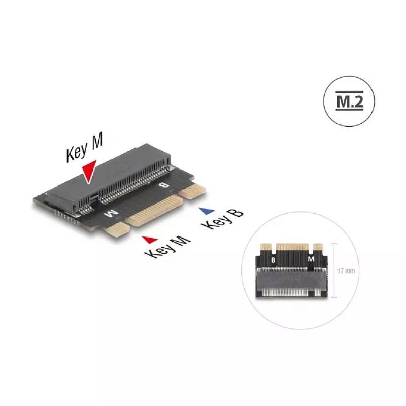 DeLOCK 64342 interne M.2-adapter hostinterface M.2 stekker zwart
