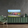 Thomson 50QG7C14 tv 127 cm (50) 4K Ultra HD smart-tv Wi-Fi zwart