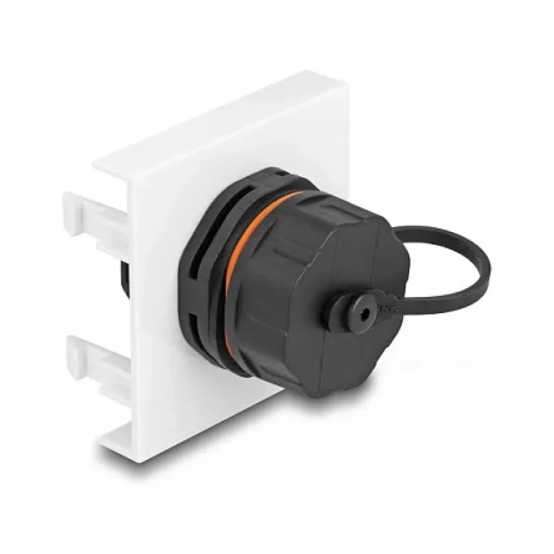 DeLOCK Easy 45 module netwerk RJ45 Cat.6A 45x45mm 1000 Mbit/s zwart
