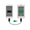 USB-kabel DeLOCK 83570 USB 2.0 0,3 m USB B Zwart