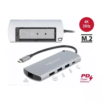 Dockingstation DeLOCK USB Type-C dockingstation met M.2-slot