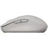 CANYON muis MW-12 dualband draadloos grijs