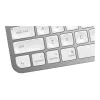 Toetsenbord MX Keys Mini Mac Pale 920-010526 grijs