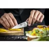 Zwilling TANREI 10 cm lardeer- en garniermes