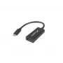Videokabeladapter Lanberg AD-UC-DP-01
