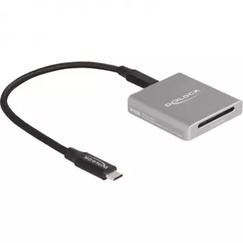 DeLOCK 91006 kaartlezer grijs SD USB Type-C 10000 Mbit/s