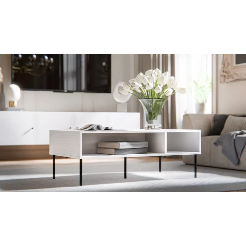 PALAZZO BIS tafel/latrine 110x60x40 wit mat