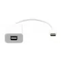USB-C naar Mini DisplayPort kabel ProXtend USBC-MINIDP-0002W, 20 cm, wit