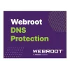 Webroot | DNS Protection with GSM Console | 1 jaar | licentienummer 10-99 gebruikers