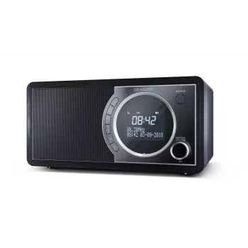 Sharp DR-450 digitale radio – zwart, persoonlijk, digitaal, DAB, DAB+, FM, 87,5 – 108 MHz, 174,928 – 239,2 MHz, 3 W