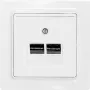 Eltako UAE/IAE-afdekplaat 2-voudig voor E-Design UAE55E/2-wg (30055842)