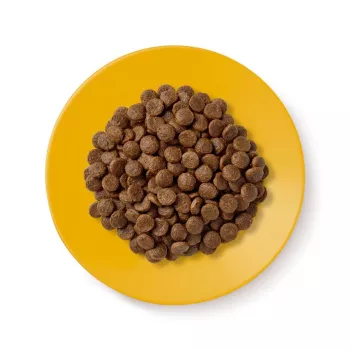 Droogvoer voor katten Applaws Senior Chicken — graanvrij / glutenvrij 2 kg zakje, 36,5% proteïne, voor oudere katten
