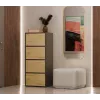 ALMA commode, antraciet/artisan eiken