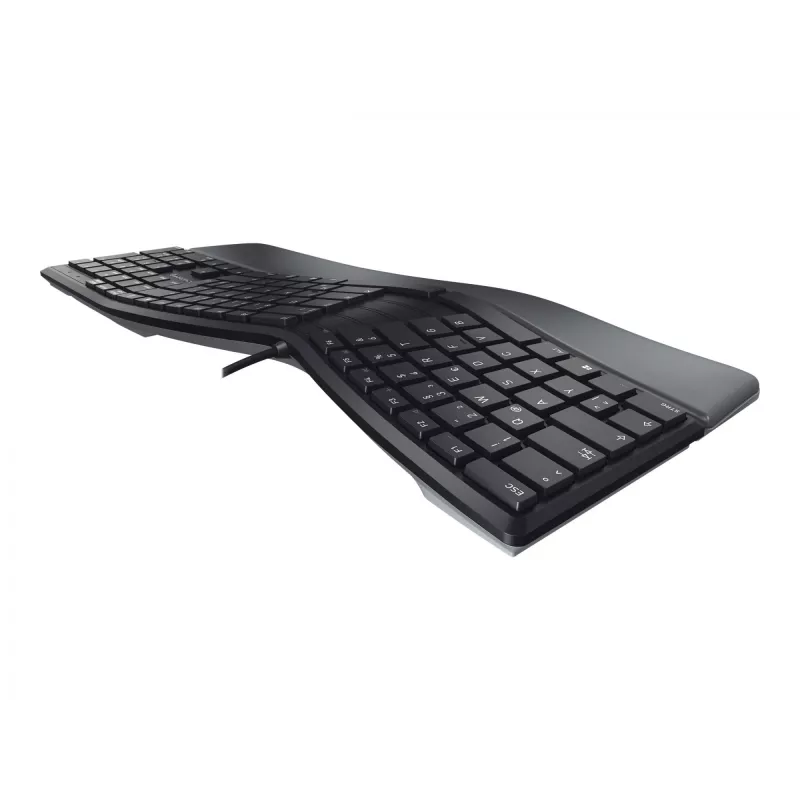 CHERRY KC 4500 ERGO toetsenbord universeel USB QWERTY Nordisch zwart