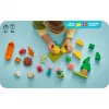 LEGO DUPLO 10452 Kampeertrip