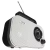 DENVER TR-51WHITE persoonlijke radio zwart wit