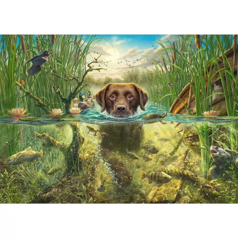 Mark Fredrickson: dog love - bruine labrador in koel water, puzzel 1000 stukjes