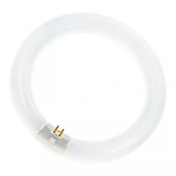Osram circulaire fluorescentielamp L 40W/840 C G10Q neutraalwit T9