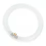 Osram circulaire fluorescentielamp L 40W/840 C G10Q neutraalwit T9