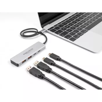 DeLOCK USB-hub USB Type-C 10 Gbit/s 2x Type-A 2x Type-C 35 cm kabel