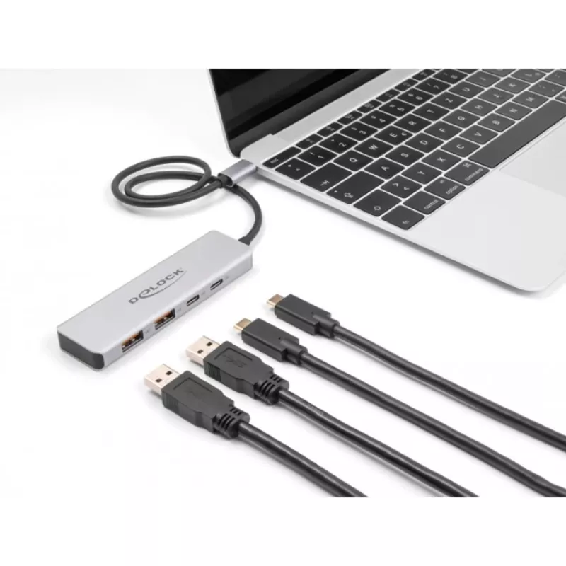 DeLOCK USB-hub USB Type-C 10 Gbit/s 2x Type-A 2x Type-C 35 cm kabel