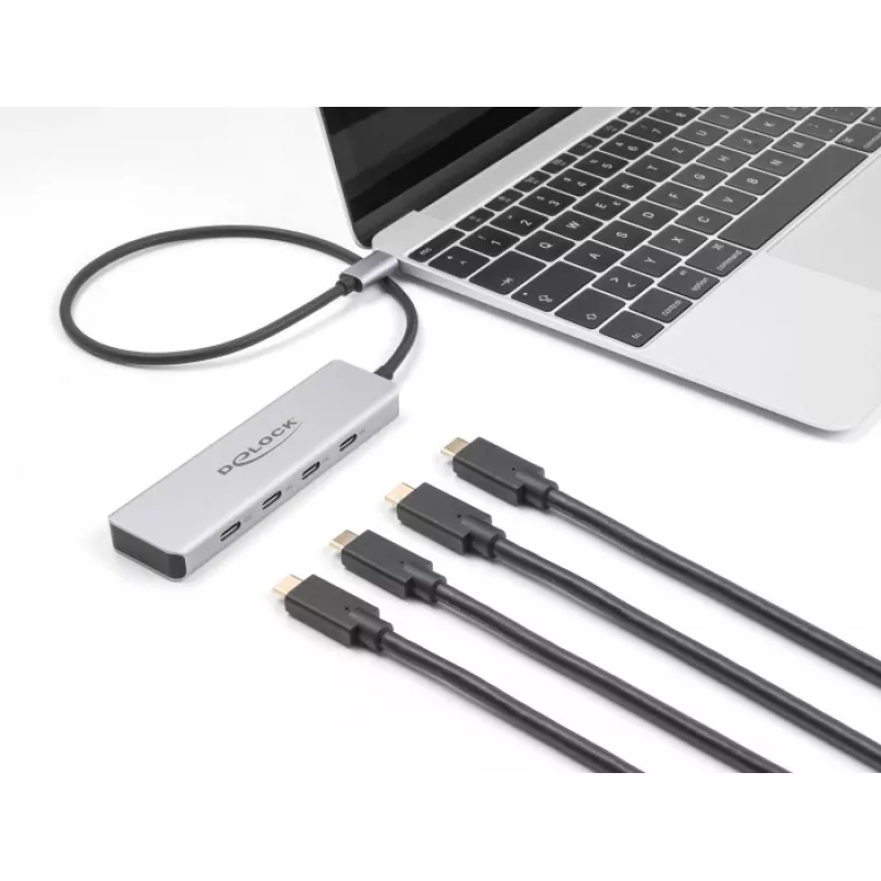 DeLOCK USB Type-C hub 10 Gbps 4 poorten aluminium grijs