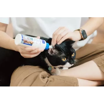 Oorverzorgingsoplossing VIRBAC EPI-OTIC 125 ml – veterinair oorreinigingsmiddel voor honden en katten