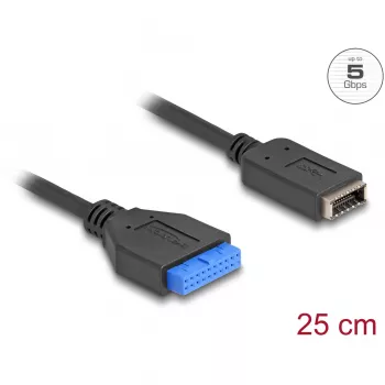 DeLOCK USB-kabel pinheader-bus naar interne USB Type-E Key A 25 cm