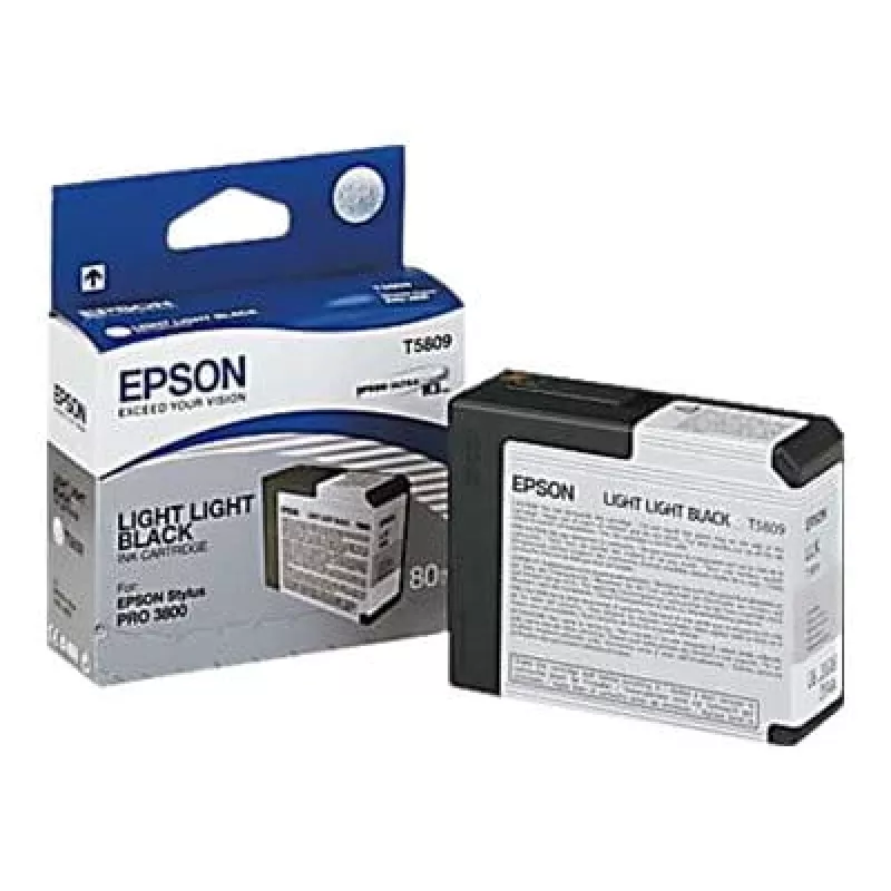 Epson Singlepack Light Light Black T580900, licht lichtzwart, pigmentinkt, 80 ml, 1 stuk