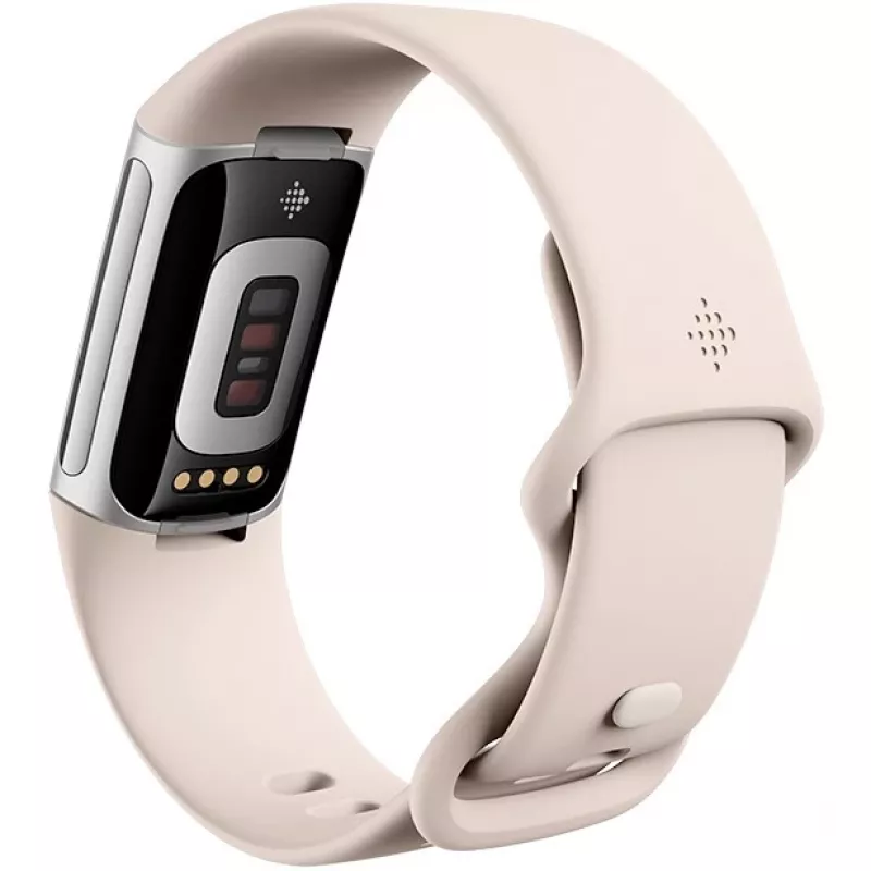 Fitbit GA05185-EU Product zilver
