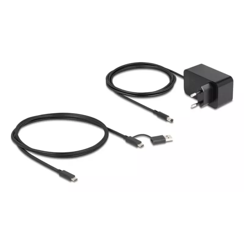 DeLOCK 64326 interface hub USB 3.2 Gen 2 (3.1 Gen 2) Type-C 10000 Mbit/s zwart
