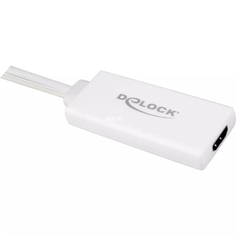 Delock - video-/audioadapter - USB, 15 pin D-Sub (DB-15) male naar HDMI female - 25cm - wit (62460)